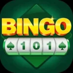 Bingo 101 – Complete Guide 2026