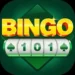 Bingo 101 – Complete Guide 2026