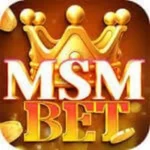 msm bet – Complete Guide 2026